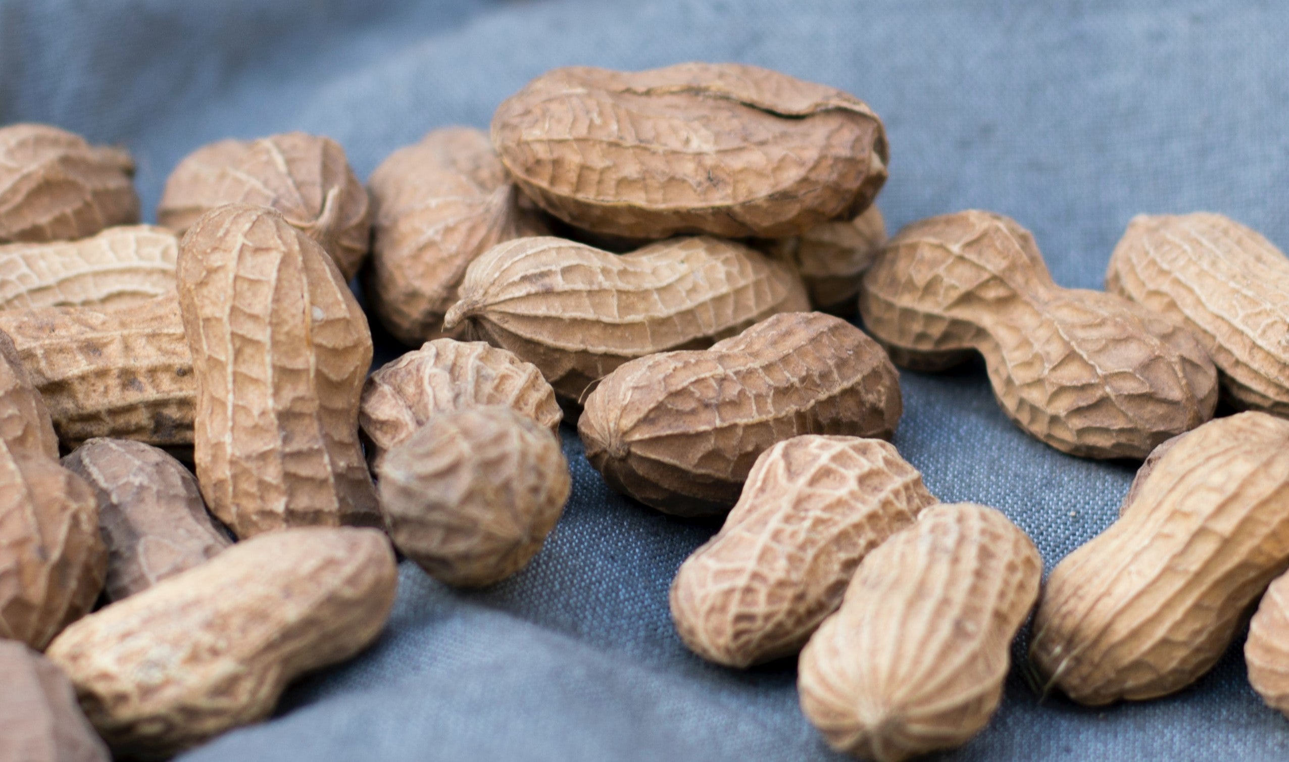 Pieczone skorupki orzeszków ziemnych bez soli. (100 g)